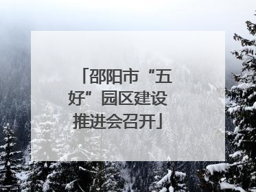 邵阳市“五好”园区建设推进会召开