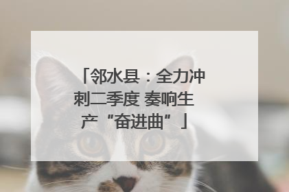 邻水县：全力冲刺二季度 奏响生产“奋进曲”
