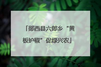 郧西县六郎乡“黄板护椒”促绿兴农
