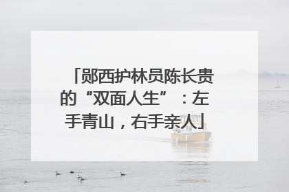 郧西护林员陈长贵的“双面人生”：左手青山，右手亲人