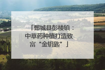 鄄城县彭楼镇：中草药种植打造致富“金钥匙”