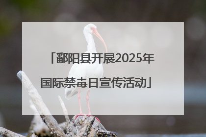 鄱阳县开展2025年国际禁毒日宣传活动