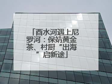 酉水河遇上尼罗河：保靖黄金茶、村厨“出海”启新途