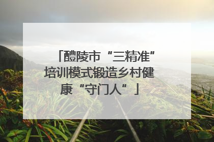 醴陵市“三精准”培训模式锻造乡村健康“守门人”