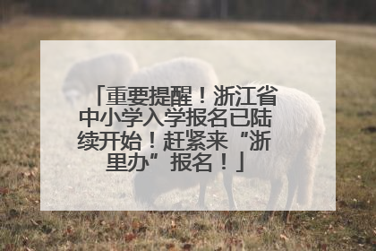 重要提醒！浙江省中小学入学报名已陆续开始！赶紧来“浙里办”报名！