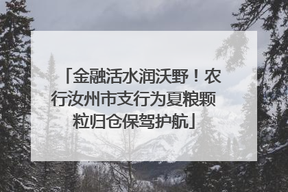 金融活水润沃野！农行汝州市支行为夏粮颗粒归仓保驾护航