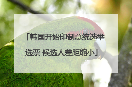 韩国开始印制总统选举选票 候选人差距缩小