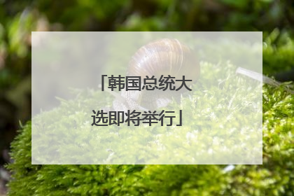 韩国总统大选即将举行