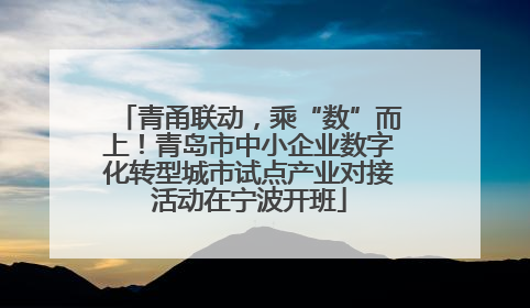 青甬联动，乘“数”而上！青岛市中小企业数字化转型城市试点产业对接活动在宁波开班