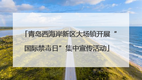 青岛西海岸新区大场镇开展“国际禁毒日”集中宣传活动