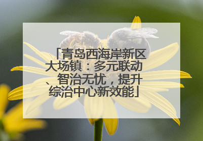 青岛西海岸新区大场镇：多元联动、智治无忧，提升综治中心新效能