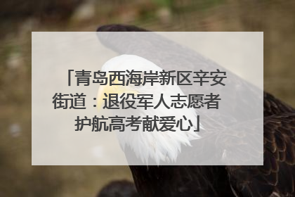 青岛西海岸新区辛安街道：退役军人志愿者护航高考献爱心