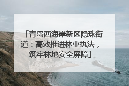 青岛西海岸新区隐珠街道：高效推进林业执法，筑牢林地安全屏障