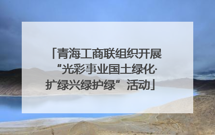 青海工商联组织开展“光彩事业国土绿化·扩绿兴绿护绿”活动