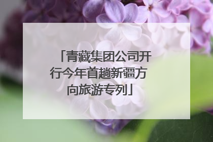 青藏集团公司开行今年首趟新疆方向旅游专列