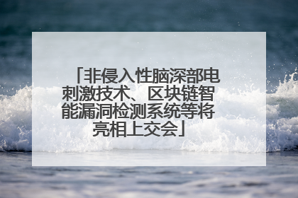 非侵入性脑深部电刺激技术、区块链智能漏洞检测系统等将亮相上交会