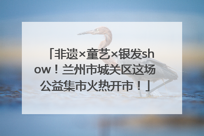非遗×童艺×银发show！兰州市城关区这场公益集市火热开市！