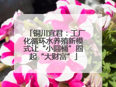 铜川宜君：工厂化循环水养殖新模式让“小圆桶”圈起“大财富”