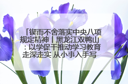 锲而不舍落实中央八项规定精神丨黑龙江双鸭山：以学促干推动学习教育走深走实 从小事入手写好“民生答卷”