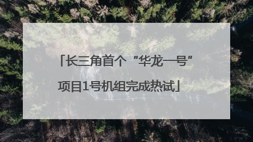 长三角首个“华龙一号”项目1号机组完成热试