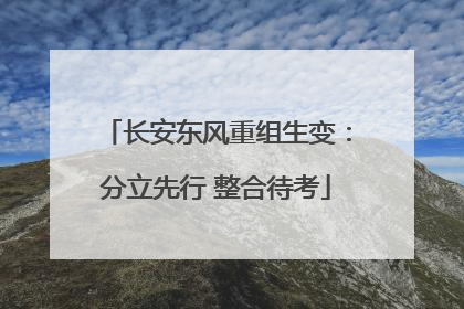 长安东风重组生变：分立先行 整合待考