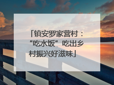 镇安罗家营村：“吃水饭”吃出乡村振兴好滋味