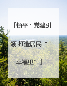 镇平：党建引领 打造居民“幸福里”