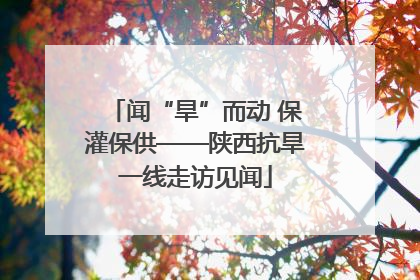 闻“旱”而动 保灌保供——陕西抗旱一线走访见闻