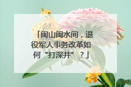 闽山闽水间，退役军人事务改革如何“打深井”？