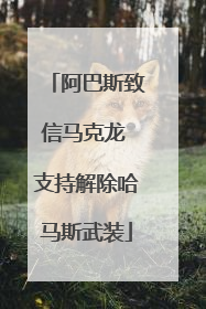 阿巴斯致信马克龙 支持解除哈马斯武装