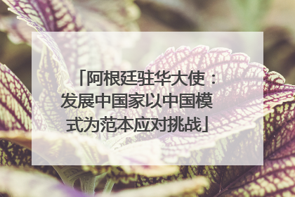 阿根廷驻华大使：发展中国家以中国模式为范本应对挑战