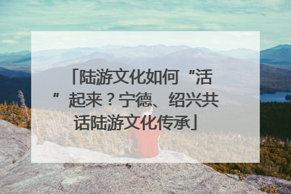 陆游文化如何“活 ”起来？宁德、绍兴共话陆游文化传承