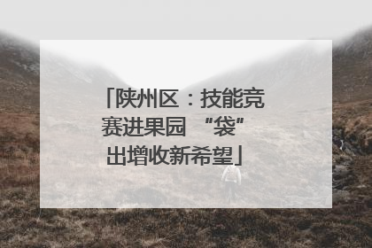 陕州区：技能竞赛进果园 “袋”出增收新希望
