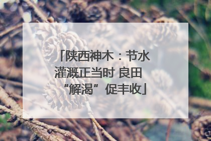 陕西神木：节水灌溉正当时 良田“解渴”促丰收