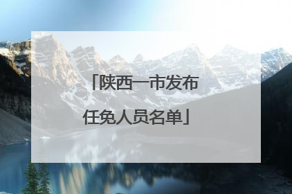 陕西一市发布任免人员名单