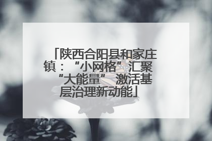 陕西合阳县和家庄镇：“小网格”汇聚“大能量” 激活基层治理新动能