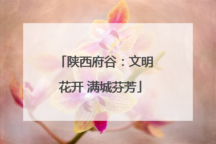 陕西府谷：文明花开 满城芬芳