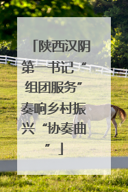 陕西汉阴第一书记“组团服务”奏响乡村振兴“协奏曲”