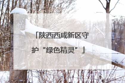 陕西西咸新区守护“绿色精灵”