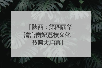 陕西：第四届华清宫贵妃荔枝文化节盛大启幕