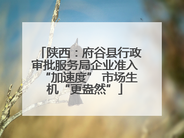 陕西：府谷县行政审批服务局企业准入“加速度” 市场生机“更盎然”