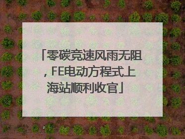 零碳竞速风雨无阻，FE电动方程式上海站顺利收官