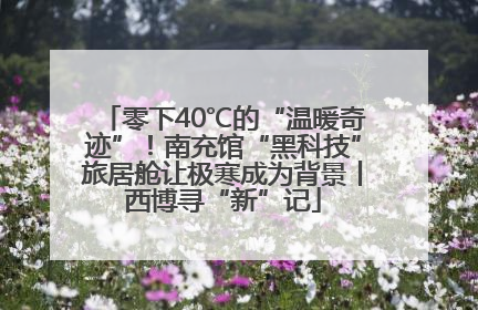 零下40℃的“温暖奇迹”！南充馆“黑科技”旅居舱让极寒成为背景丨西博寻“新”记