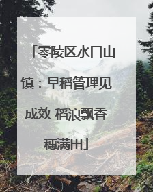 零陵区水口山镇：早稻管理见成效 稻浪飘香穗满田