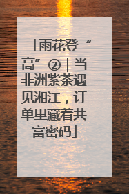 雨花登“高”②｜当非洲紫茶遇见湘江，订单里藏着共富密码