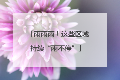 雨雨雨！这些区域持续“雨不停”