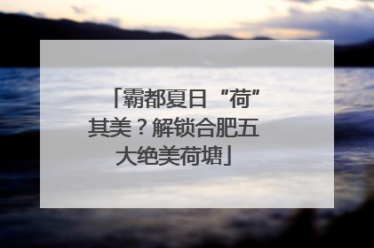 霸都夏日“荷”其美？解锁合肥五大绝美荷塘