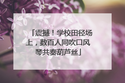 震撼！学校田径场上，数百人同吹口风琴共奏葫芦丝