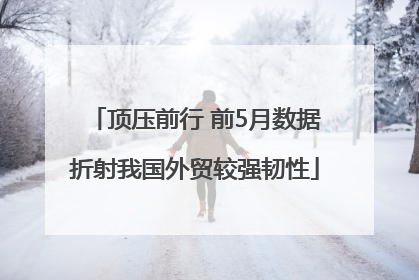 顶压前行 前5月数据折射我国外贸较强韧性