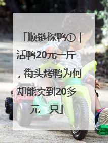 顺链探鸭①｜活鸭20元一斤，街头烤鸭为何却能卖到20多元一只